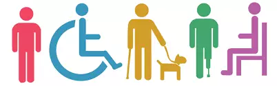 progetto inclusi 2024